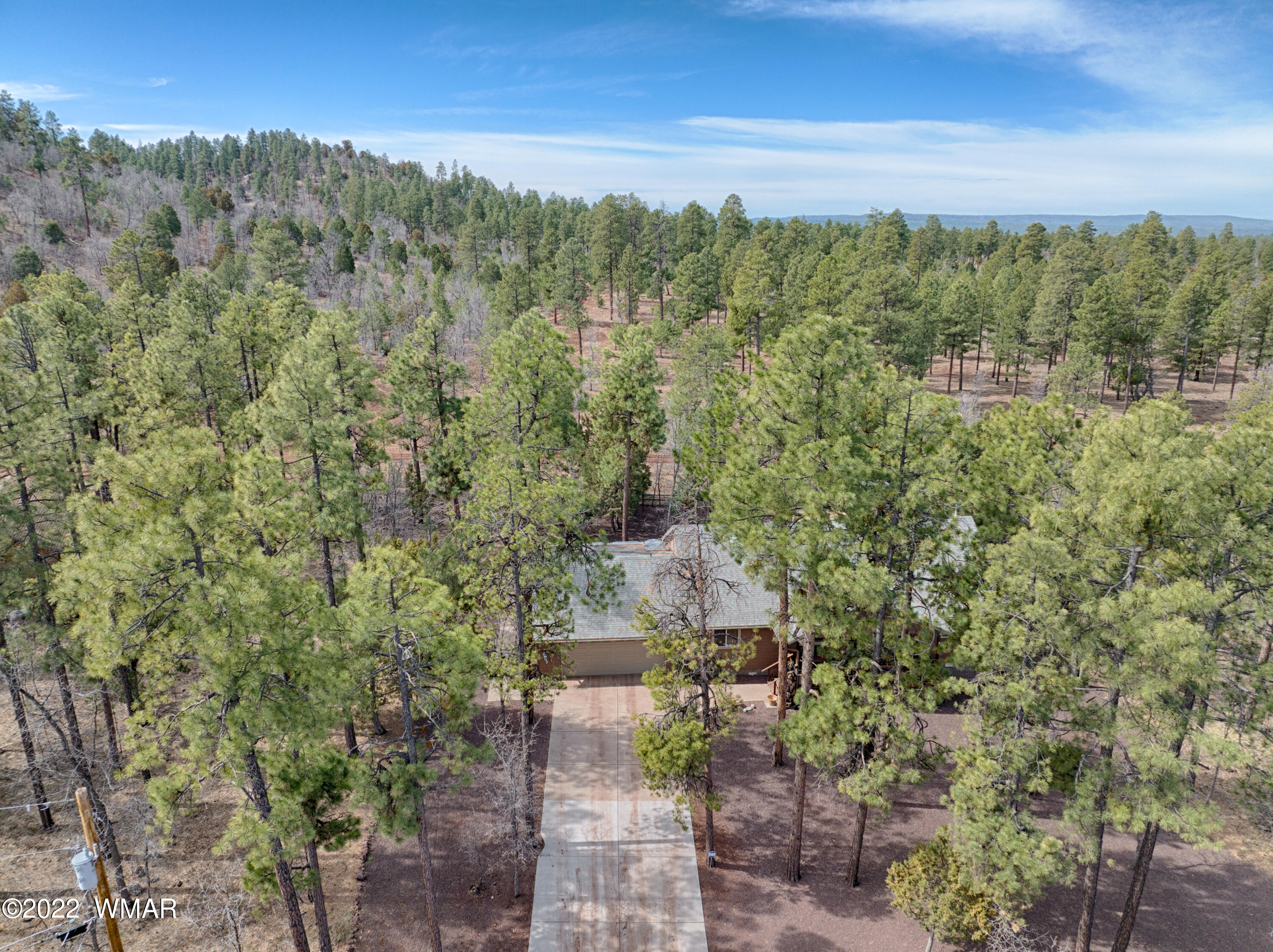 1331 East Rim Road Pinetop, AZ 85935 - Photo 3 of 23 Gallery Image 3