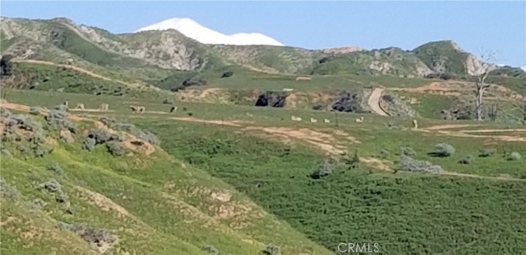7840 Reche Canyon Road Colton, CA 92324 - Photo 19 of 20 a view of a lush green hillside and houses
