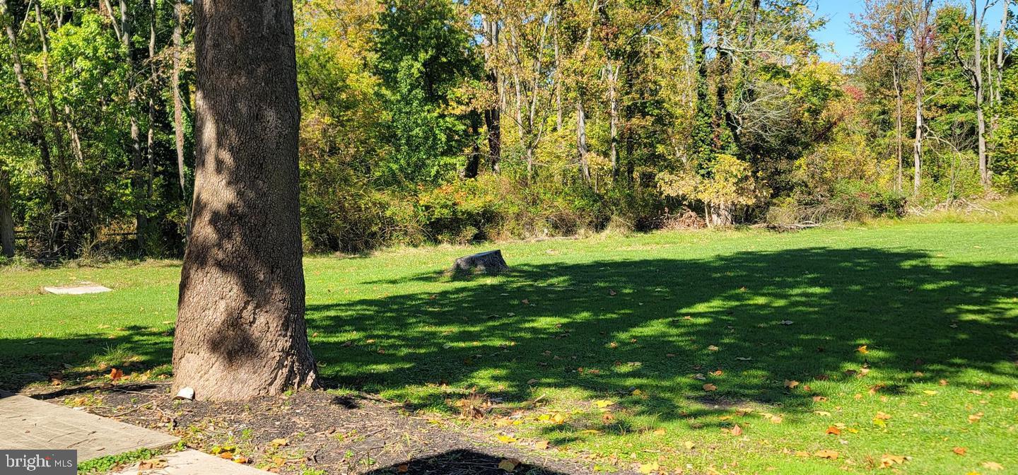 7130 Dogwood Road Windsor Mill, MD 21244 - Photo 7 of 7 Serene green space under tall trees.