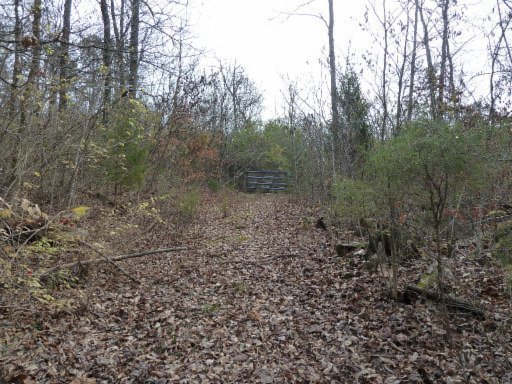 Meredith Road Knoxville, TN 37921 - Photo 1 of 1 Primary Photo