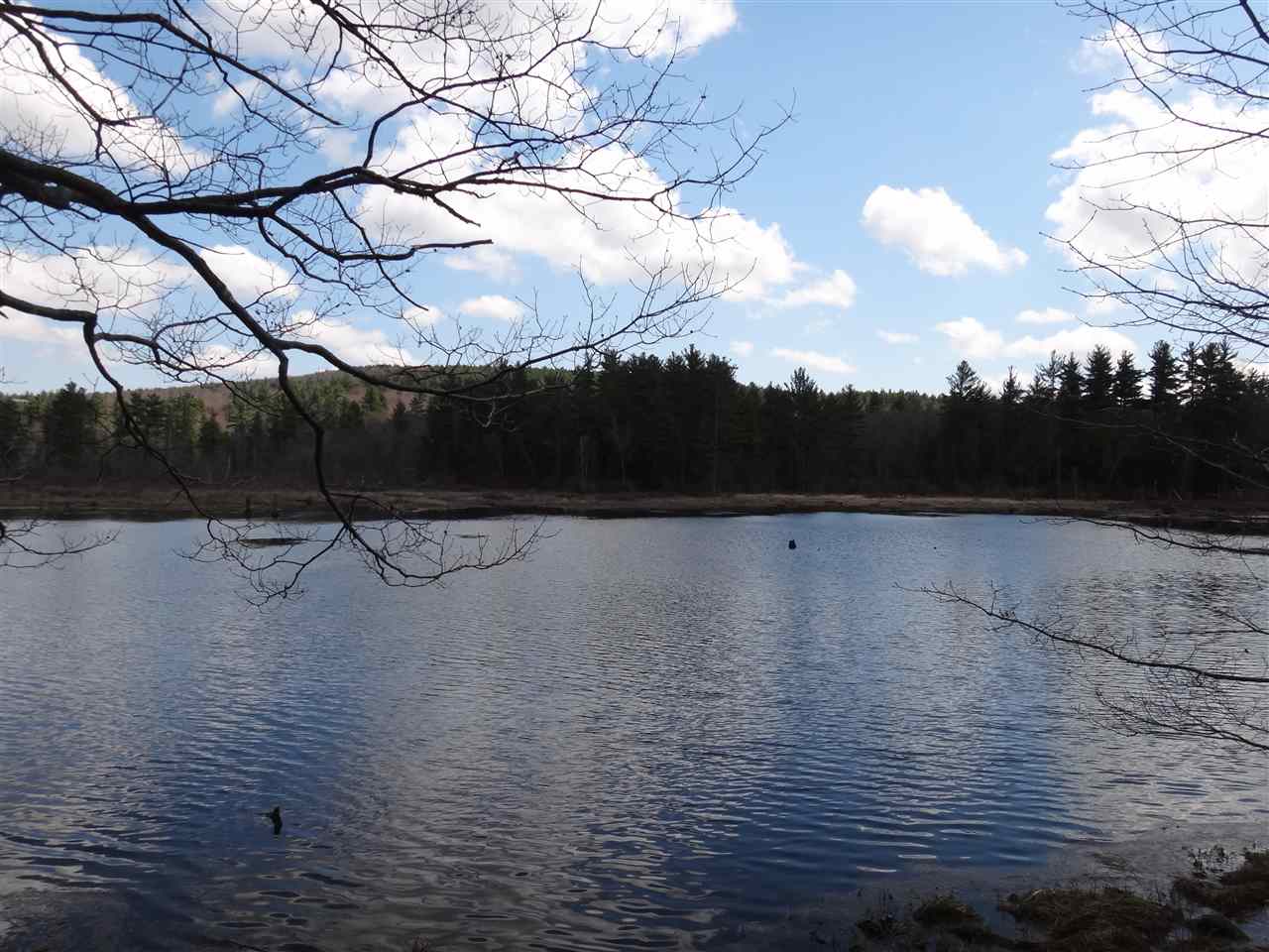 0 Condy Road Peterborough, NH 03458 - Photo 7 of 9