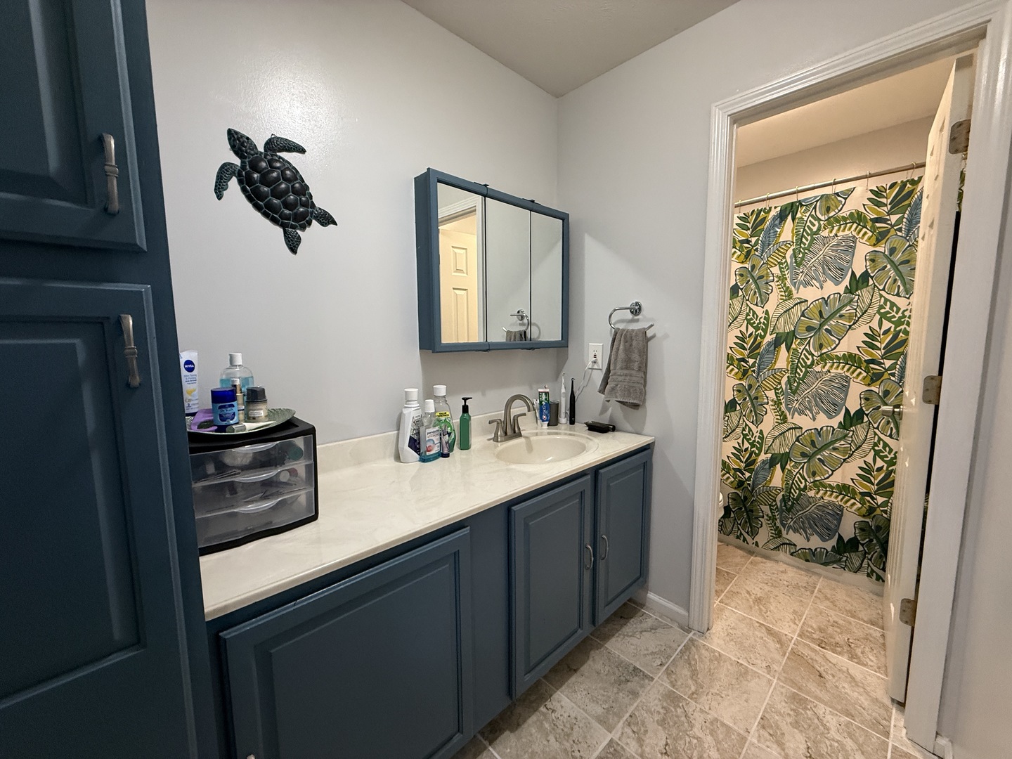 3112 Riviera Court Herrin, IL 62948 - Photo 10 of 28