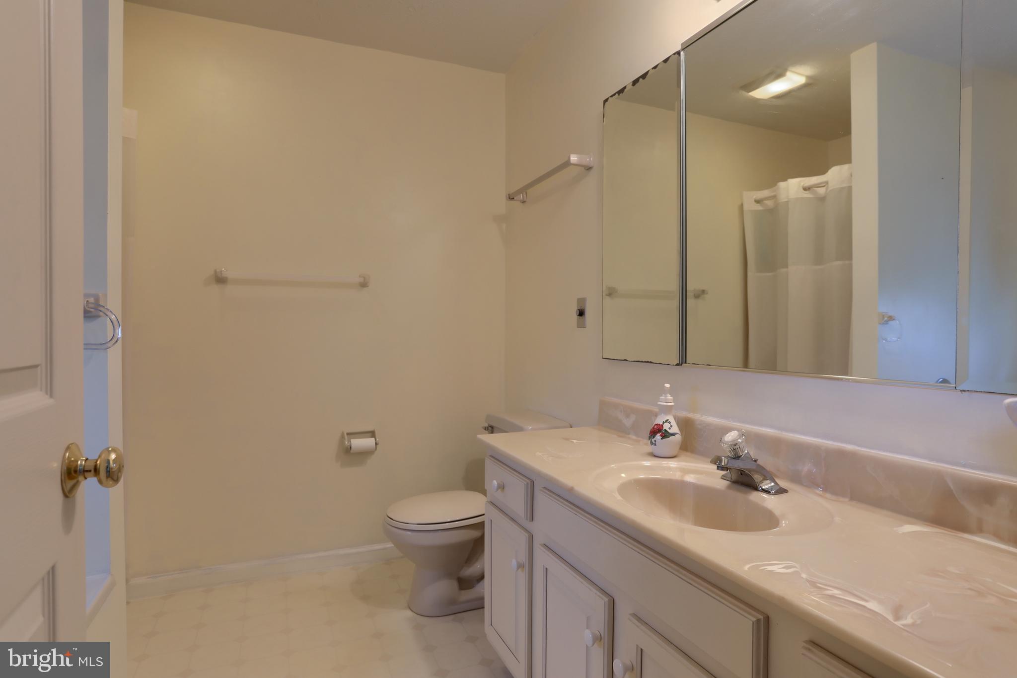 1 Southfield Road Lebanon, PA 17042 - Photo 24 of 40 Primary bath, large counter area, walk in shower