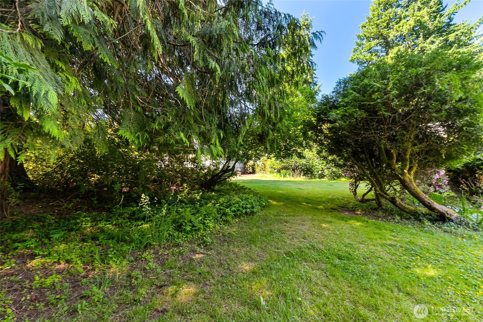 4535 Cable Street Bellingham, WA 98229 - Photo 30 of 31 a view of an trees in a yard