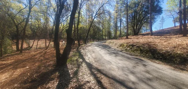 a view of snow on a road