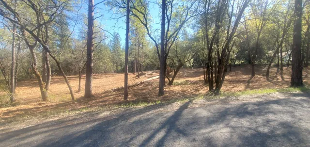 a view of a yard with a tree
