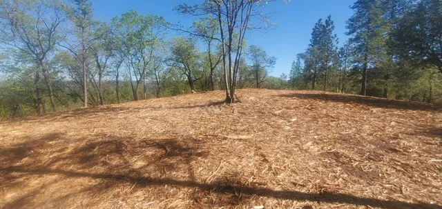 a backyard of a house with large trees