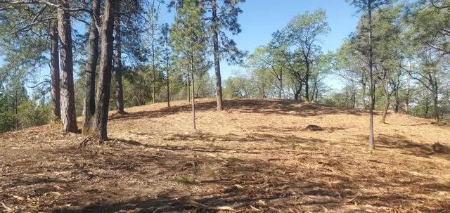 a view of a yard covered with snow in the yard
