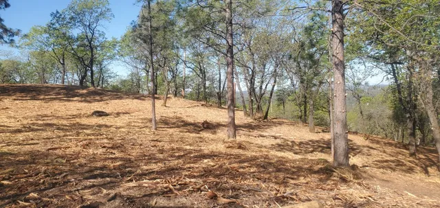 a view of a yard covered in snow