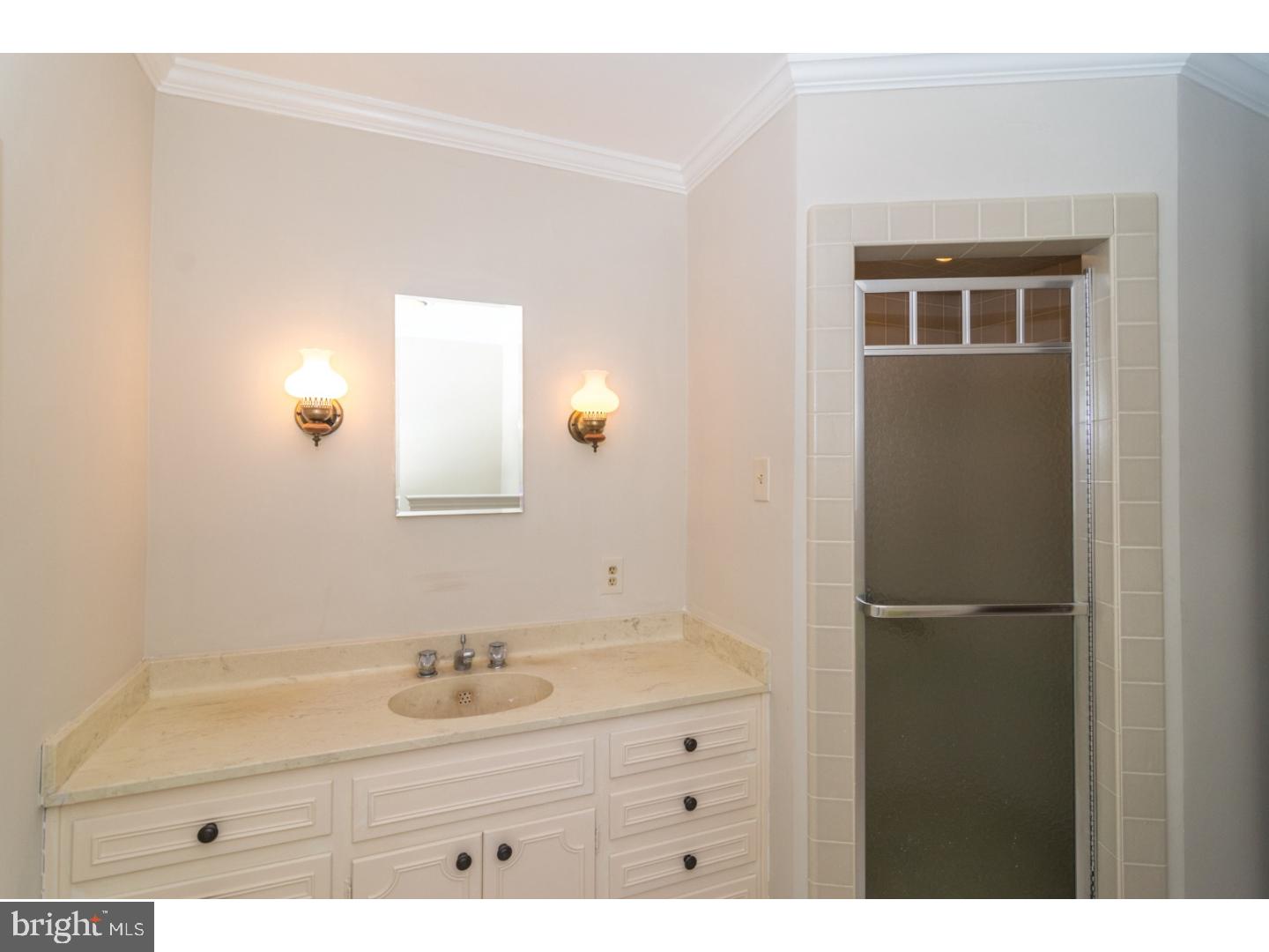 1425 Township Line Road Ambler, PA 19002 - Photo 16 of 23 Master Bathroom