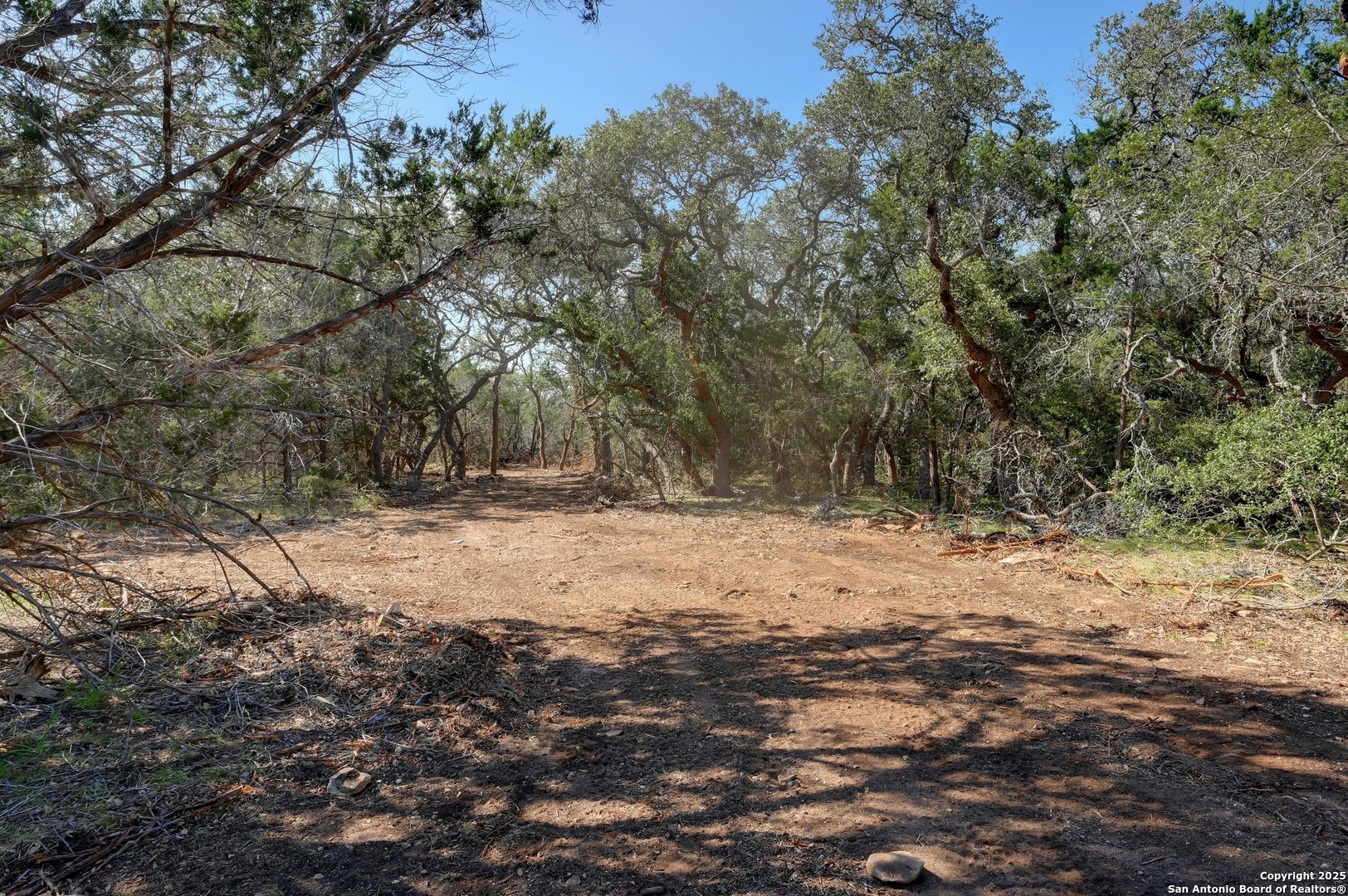 Tract 3 Pierson Road Blanco, TX 78606 - Photo 12 of 13 a view of dirt yard with a large tree