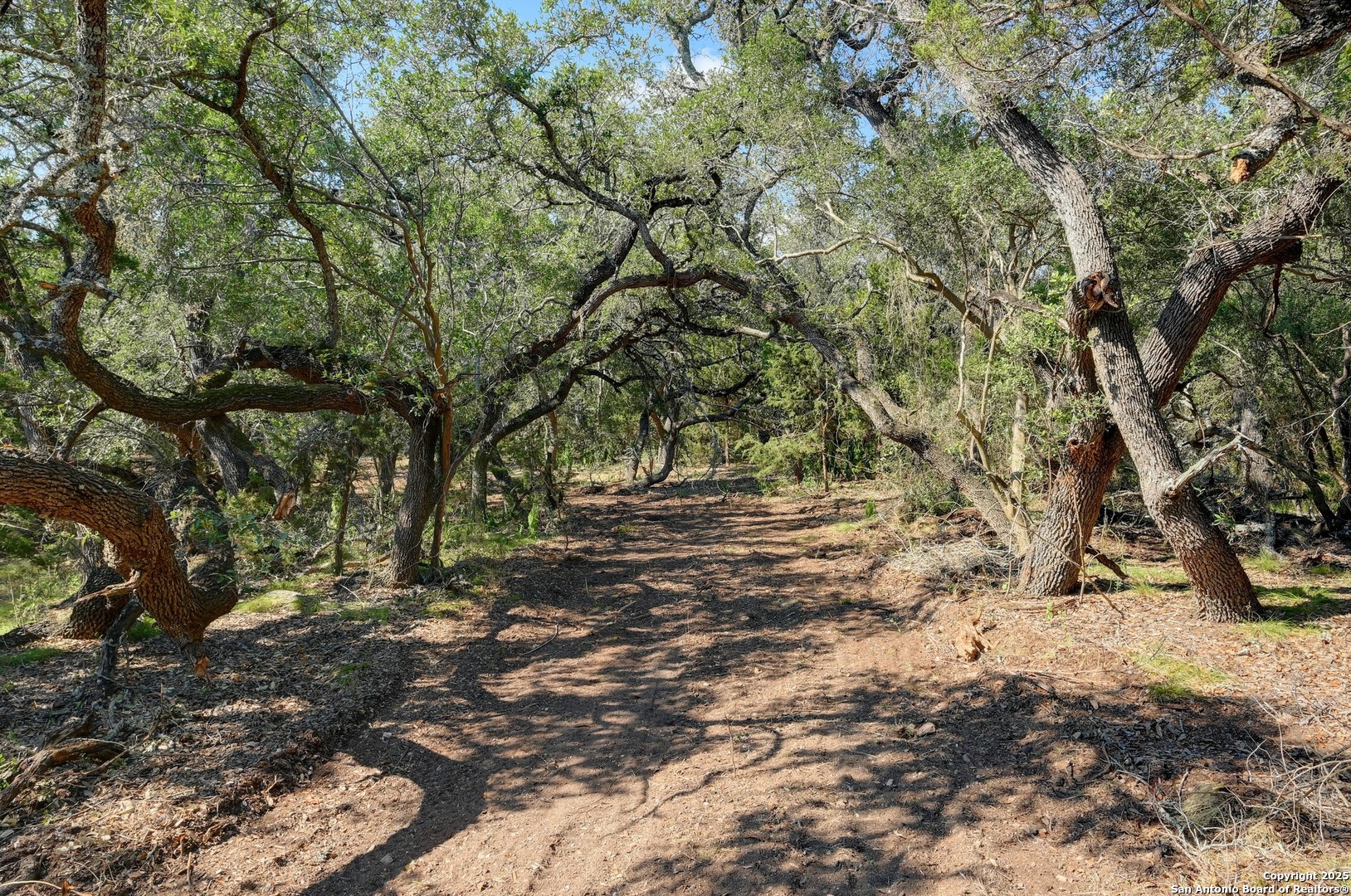 Tract 3 Pierson Road Blanco, TX 78606 - Photo 8 of 13 a view of outdoor space with trees