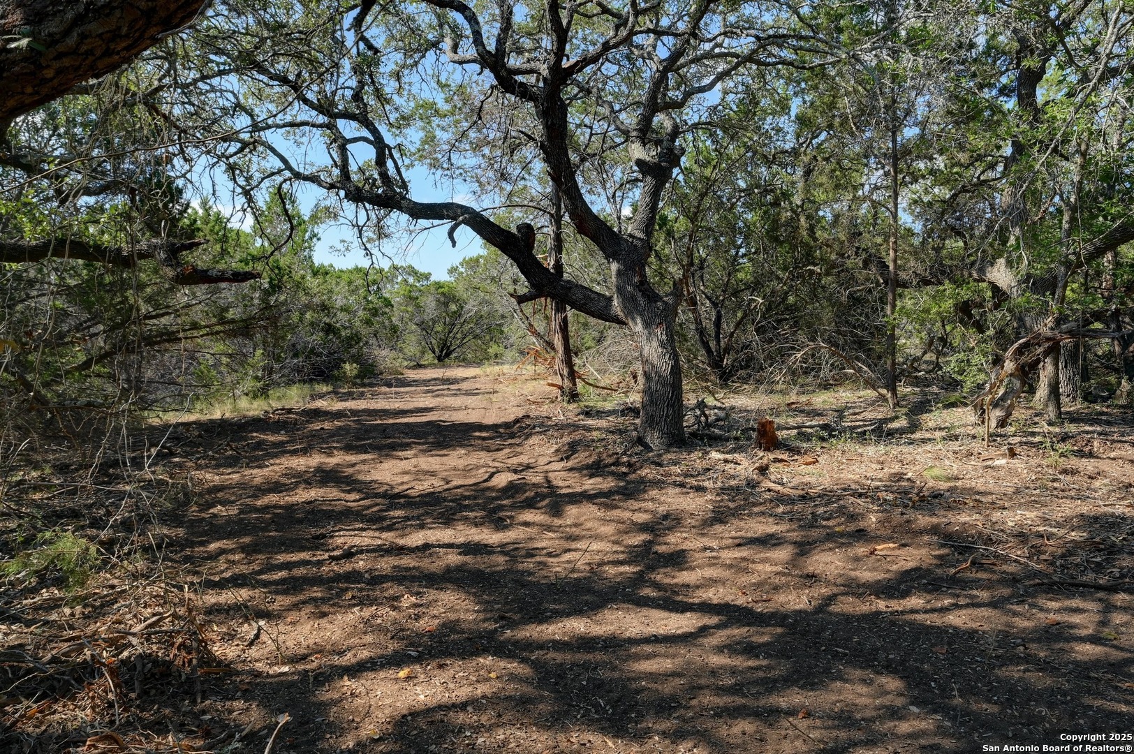 Tract 3 Pierson Road Blanco, TX 78606 - Photo 10 of 13 a view of outdoor space with deck and tree