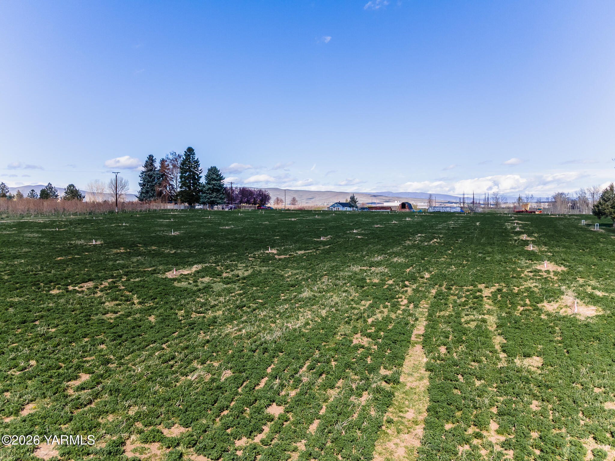 Nna Nna Nelson Rd Avenue West Yakima, WA 98903 - Photo 10 of 11 a view of a big green field with clear sky