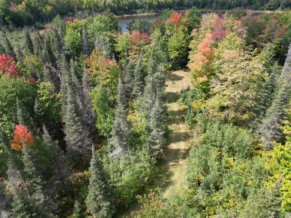 $120,000 | 307 Maggie Lakes Trail, Crystal Falls, MI 49920