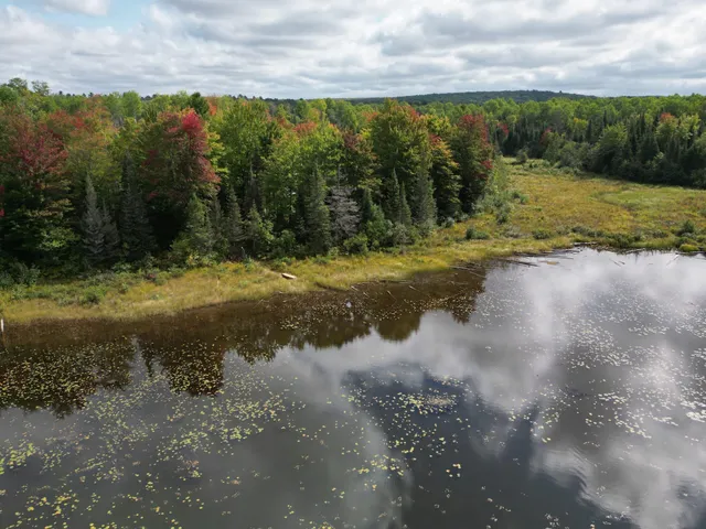 $120,000 | 307 Maggie Lakes Trail, Crystal Falls, MI 49920