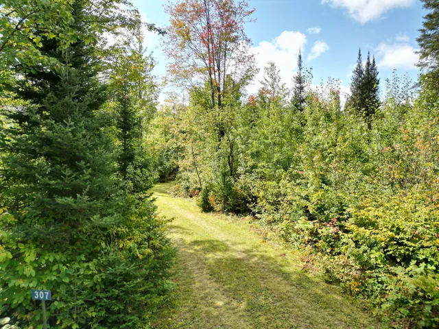 $120,000 | 307 Maggie Lakes Trail, Crystal Falls, MI 49920
