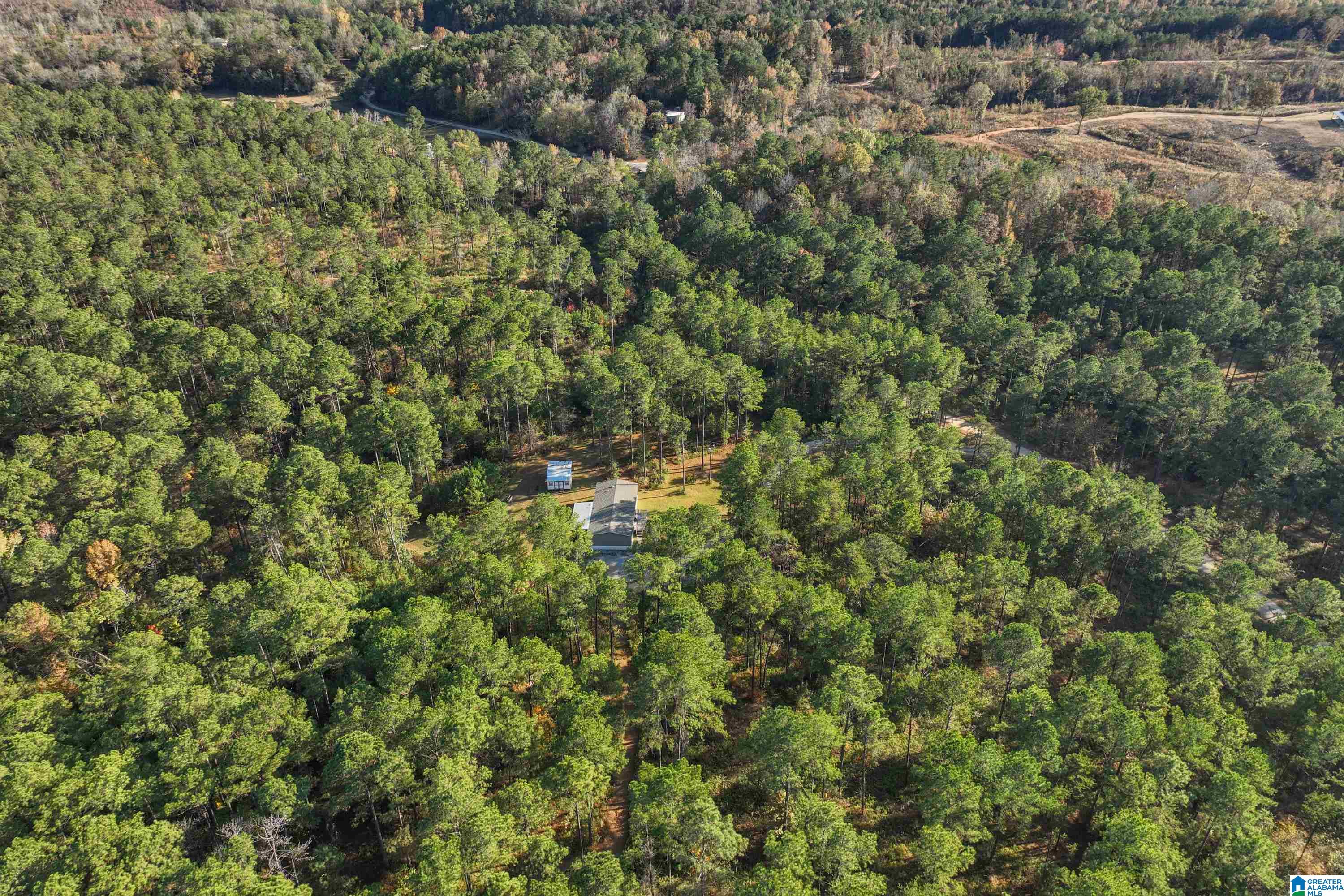203 Gould Road Columbiana, AL 35051 - Photo 49 of 56