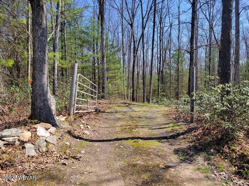 264 Hickory Ridge Road Mill Hall, PA 17751 - Photo 30 of 39 Gallery Image 30