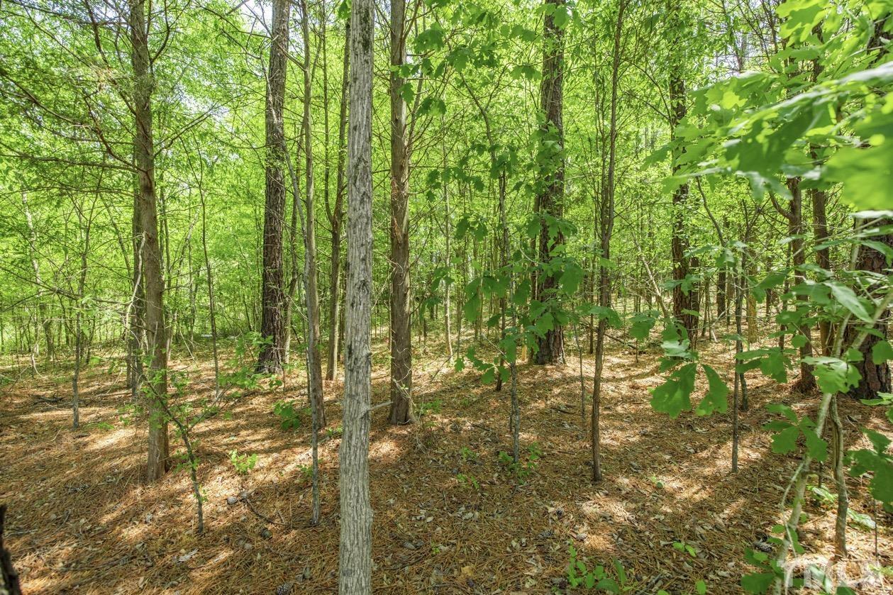 102 Mickey Circle Durham, NC 27712 - Photo 2 of 16 a view of forest
