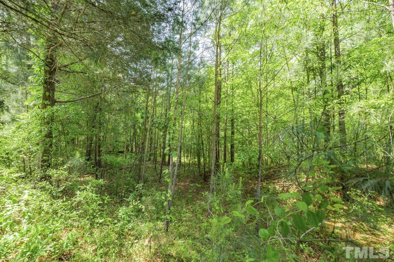 102 Mickey Circle Durham, NC 27712 - Photo 3 of 16 a view of a lush green forest