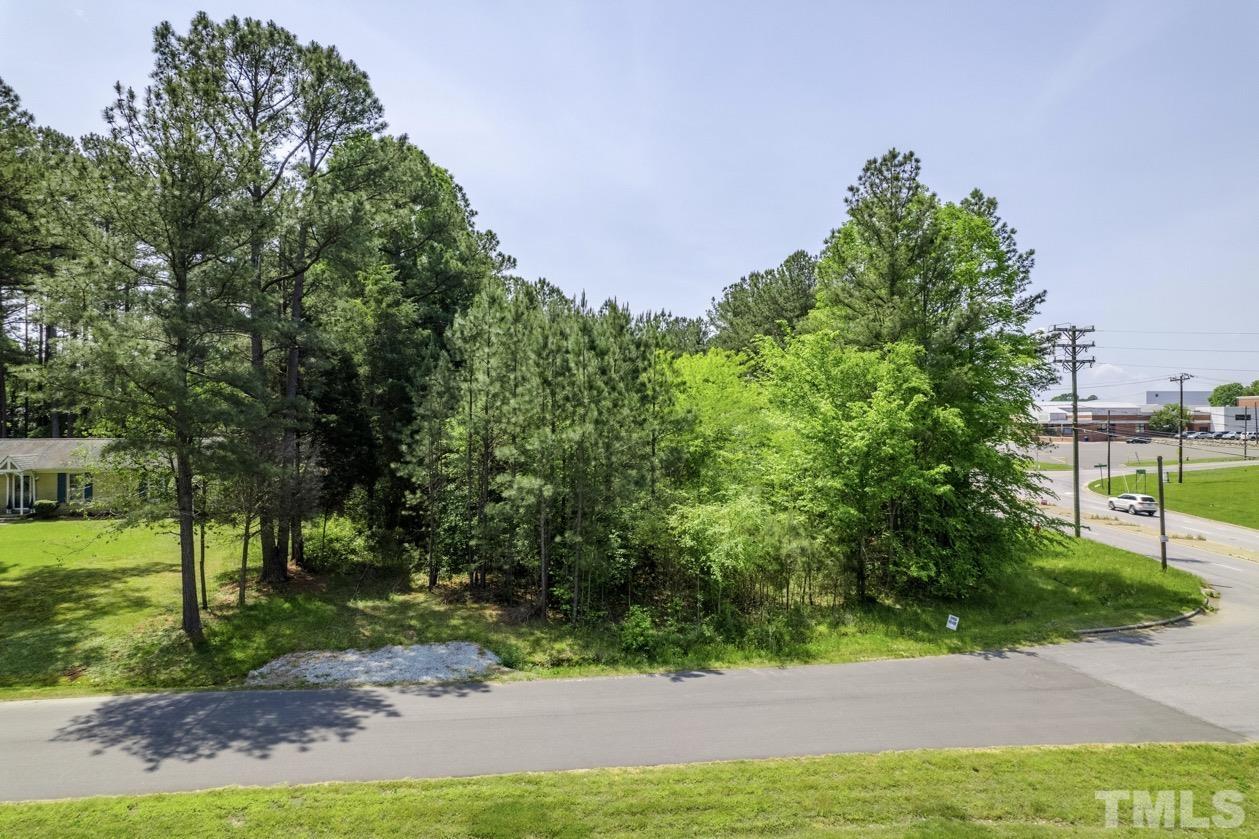 102 Mickey Circle Durham, NC 27712 - Photo 6 of 16 a view of a yard with plants and large trees