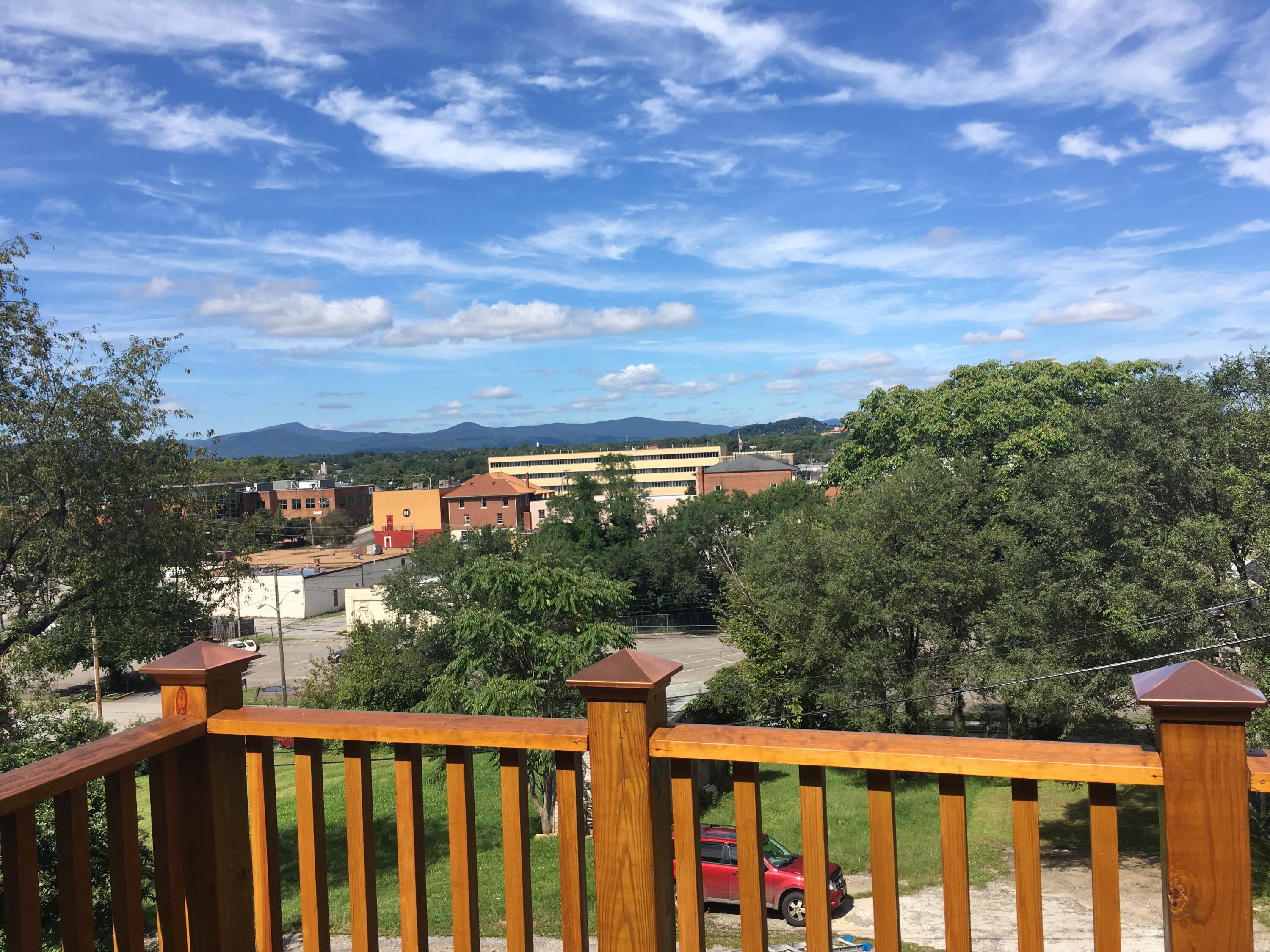 415 Day Avenue Southwest Roanoke, VA 24016 - Photo 14 of 15 a city view from a balcony