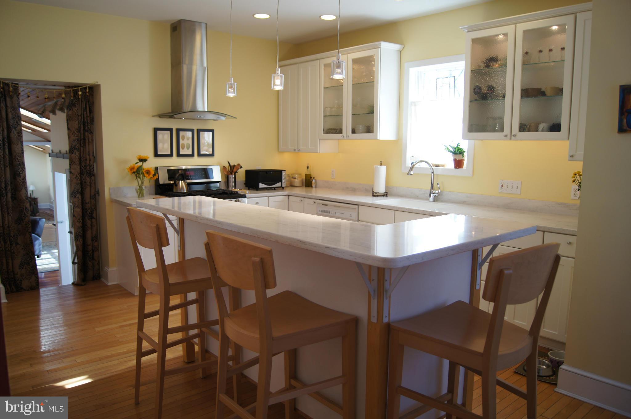 6521 Maplewood Road Baltimore, MD 21212 - Photo 2 of 30 Glorious kitchen bathed in sunlight