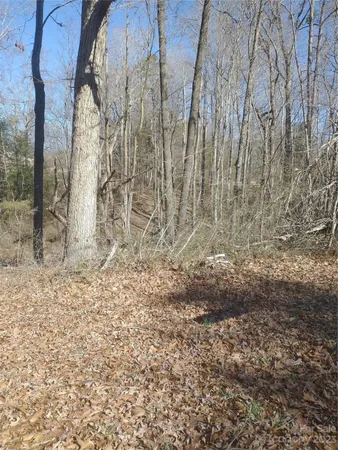 $15,000 | 3360 Tolley Street, Claremont, NC 28610