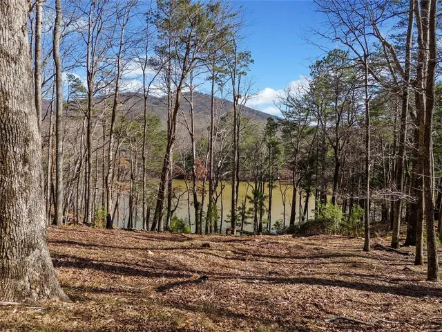 $787,900 | 29 Long Swamp Drive, Jasper, GA 30143