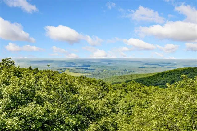 $787,900 | 29 Long Swamp Drive, Jasper, GA 30143