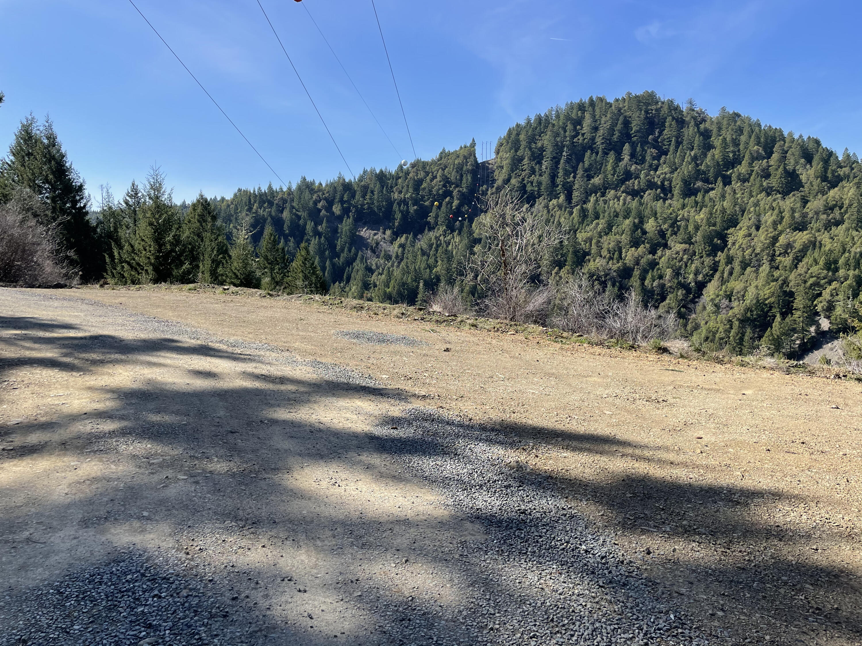 0 Stagecoach Road Bridgeville, CA 95526 - Photo 9 of 24
