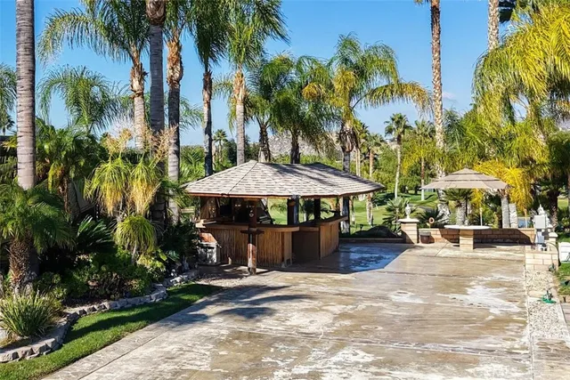 a view of a park with a tree
