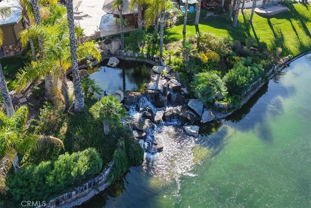 a view of a flower in a yard