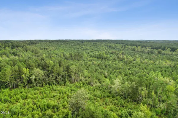 a view of a big yard with lots of green space