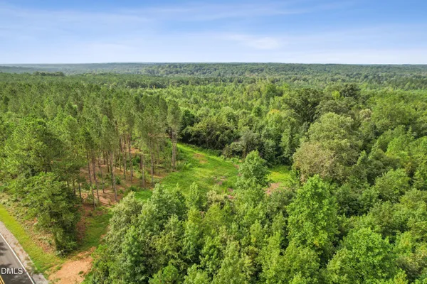 a view of a green field with lots of bushes