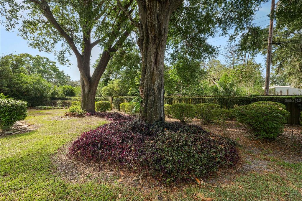 509 Robroy Street Lakeland, FL 33813 - Photo 42 of 51 a view of backyard with green space