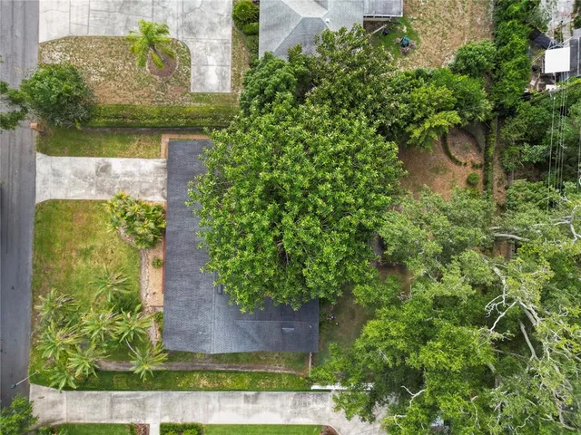 a view of a swimming pool with a garden and trees