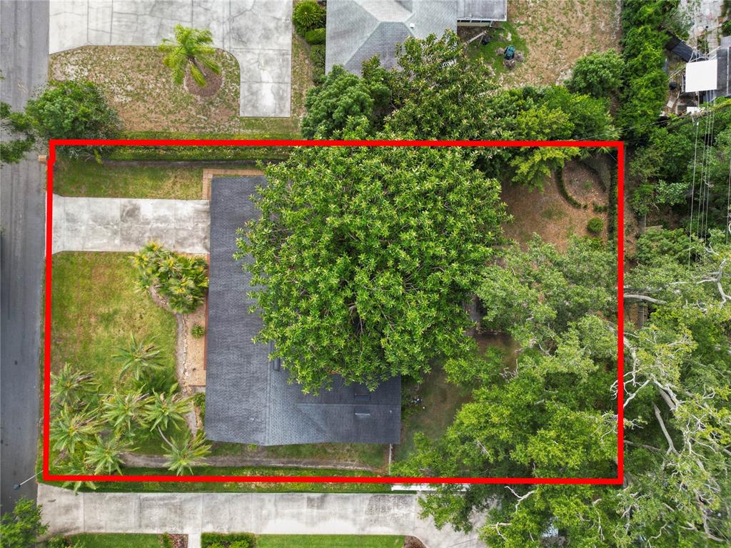 509 Robroy Street Lakeland, FL 33813 - Photo 7 of 51 a view of a flower garden with a small yard