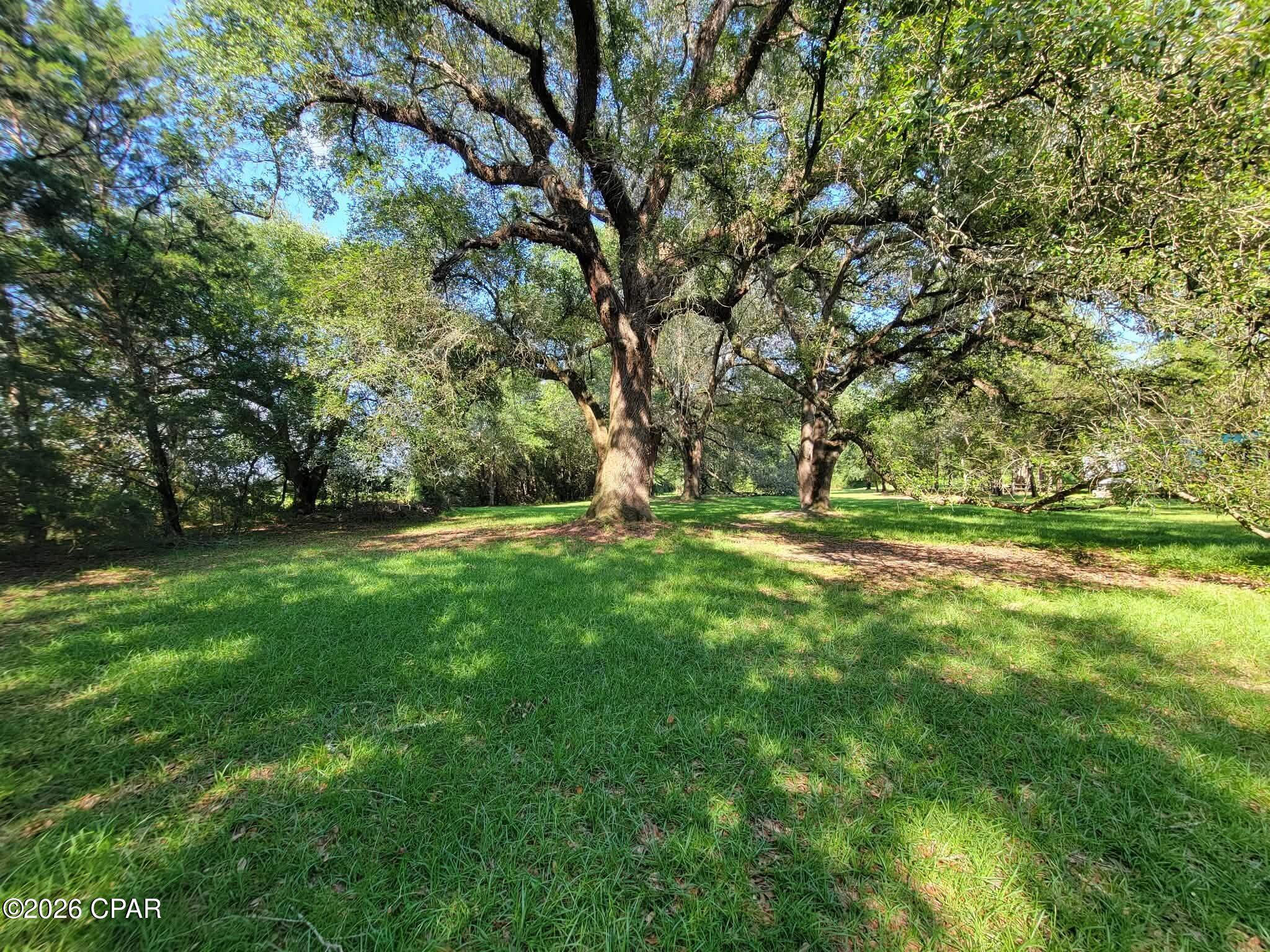 0 Ditty Road Bascom, FL 32423 - Photo 5 of 34