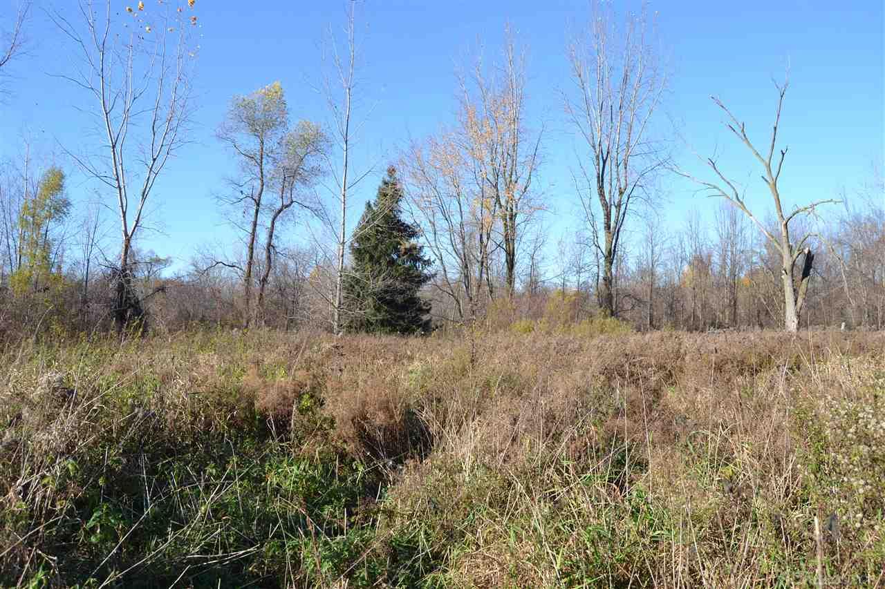0 South Curry Road Caro, MI 48741 - Photo 4 of 6