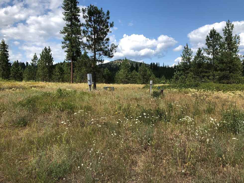 2986 E Red Marble Road Chewelah, WA 99109 - Photo 1 of 4 Gallery Image 1