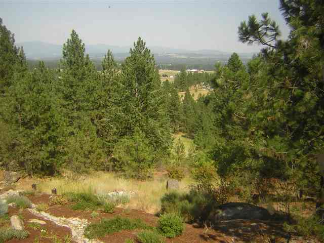 15717 North Hazard Road Spokane, WA 99208 - Photo 3 of 8
