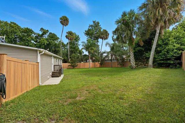 a view of a backyard with large trees