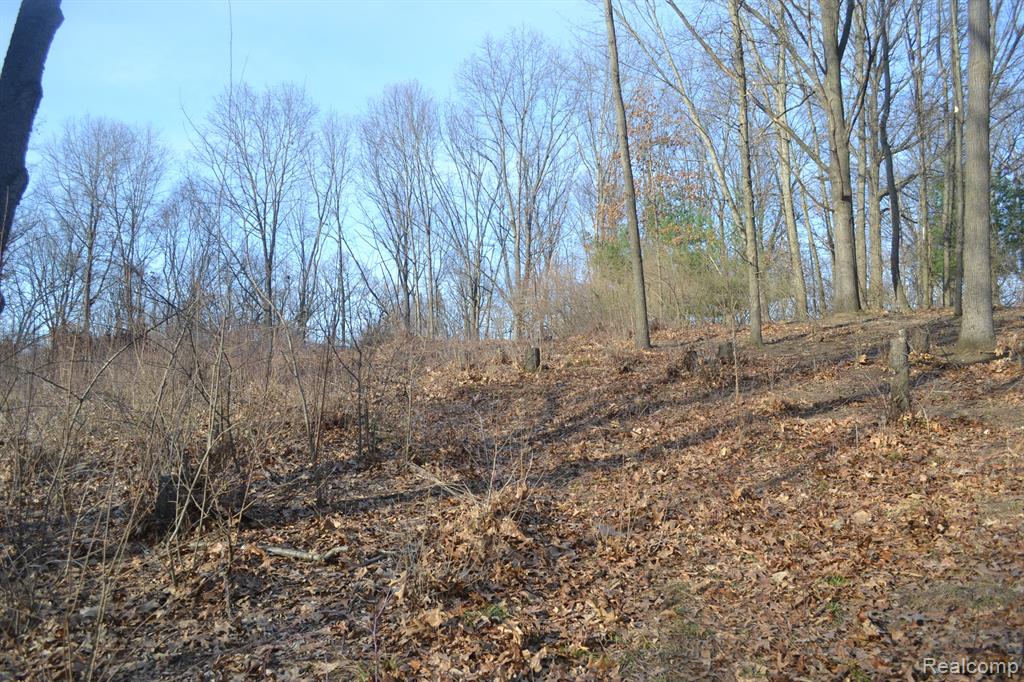 1590 East Rattalee Lake Road Holly, MI 48442 - Photo 2 of 11