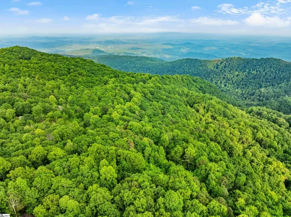 $595,000 | 14 Woodbine Drive, Cleveland, SC 29635