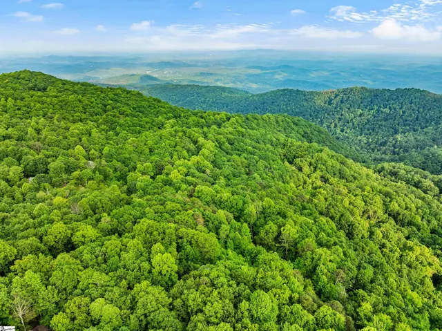 $595,000 | 14 Woodbine Drive, Cleveland, SC 29635