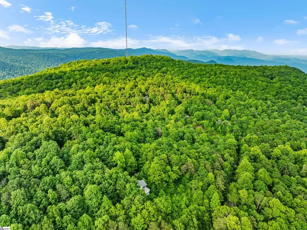 $595,000 | 14 Woodbine Drive, Cleveland, SC 29635