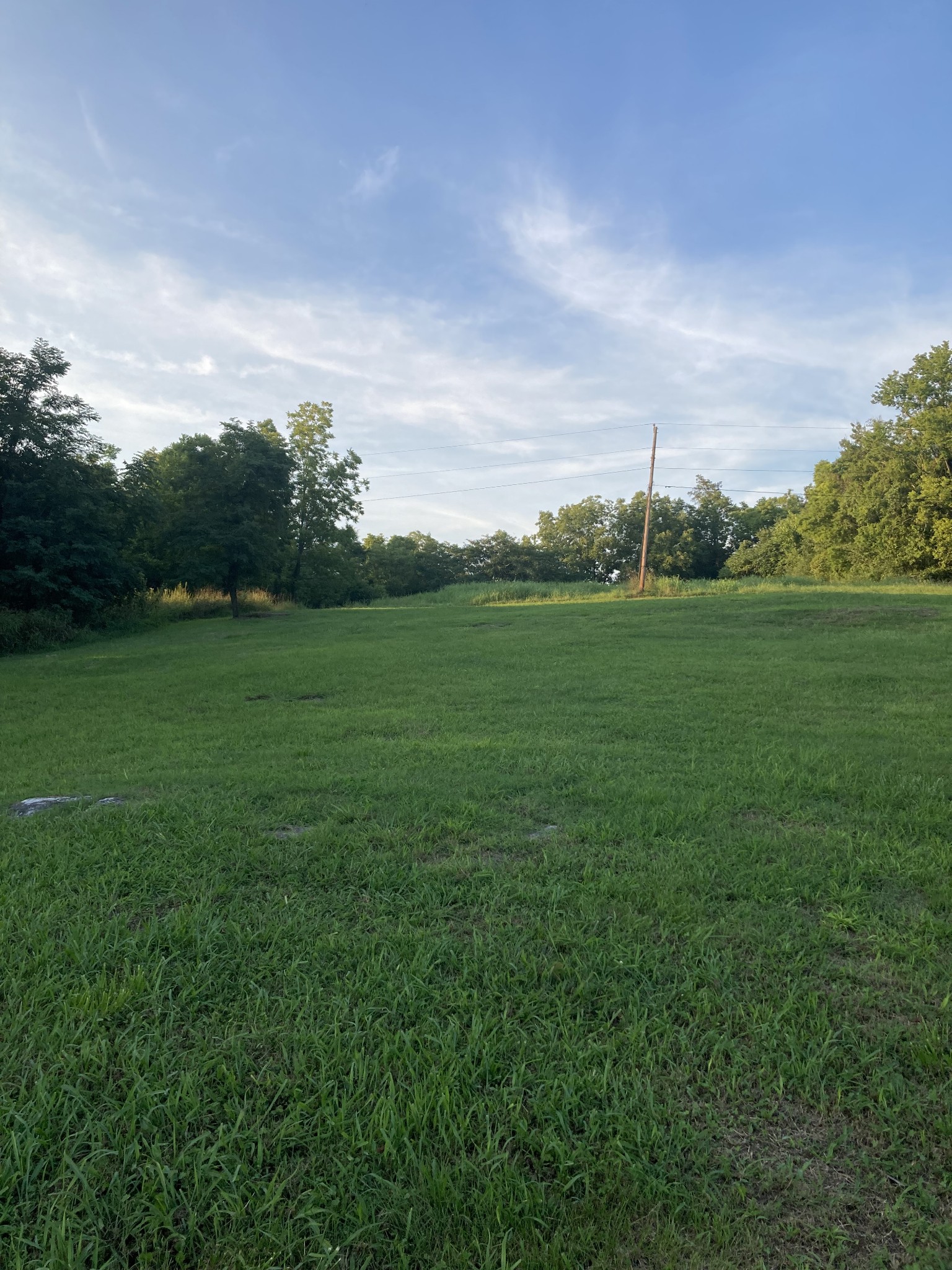 312 East Grigsby Street Pulaski, TN 38478 - Photo 2 of 12