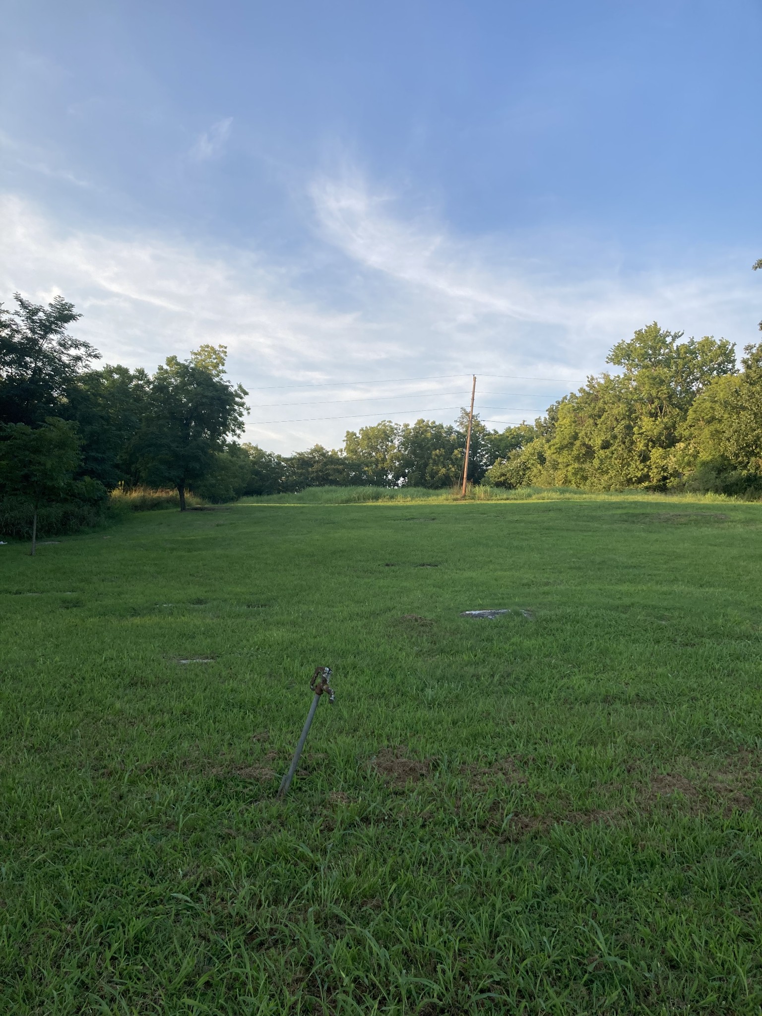 312 East Grigsby Street Pulaski, TN 38478 - Photo 3 of 12